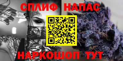 индика Моздок