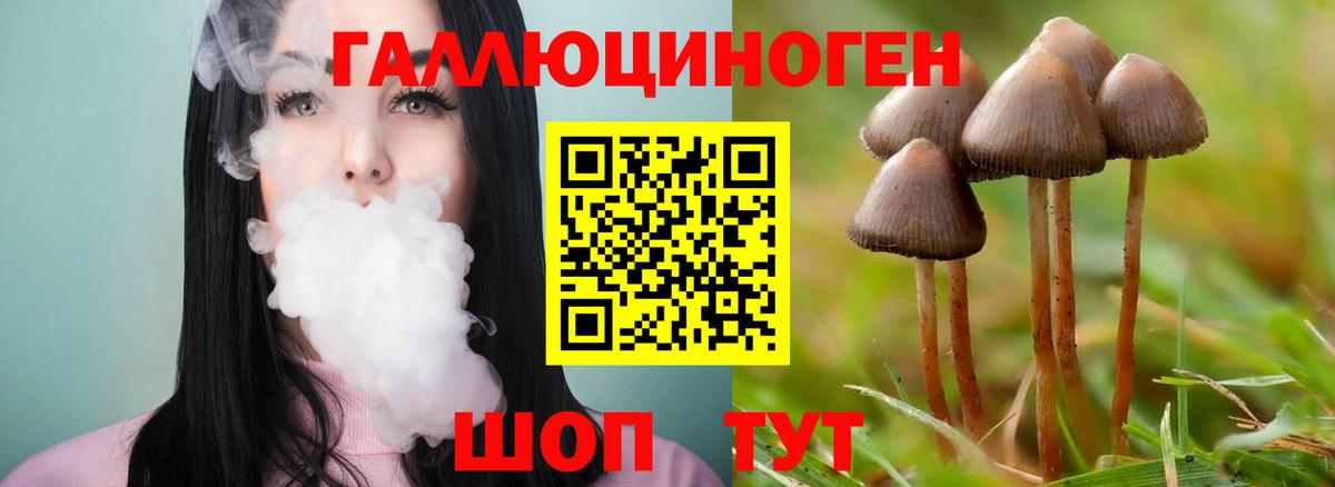 наркотики  Галлюциногенные грибы прущие грибы  Вход с VPN  Урай 
